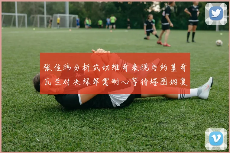 张佳玮分析武切维奇表现与约基奇瓦兰对决绿军需耐心等待塔图姆复出