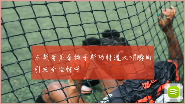 东契奇无奈摊手斯玛特遭大帽瞬间引发全场惊呼