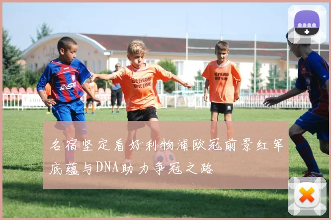 名宿坚定看好利物浦欧冠前景红军底蕴与DNA助力争冠之路