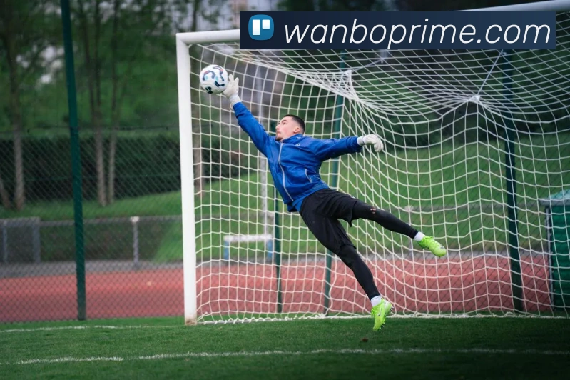 多媒体互动体验