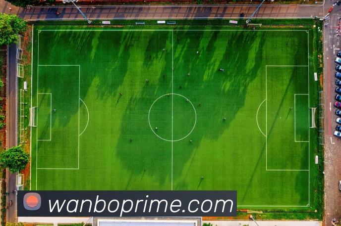 万博体育APP 高清赛事图