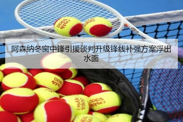 阿森纳冬窗中锋引援谈判升级锋线补强方案浮出水面 - ManBetX